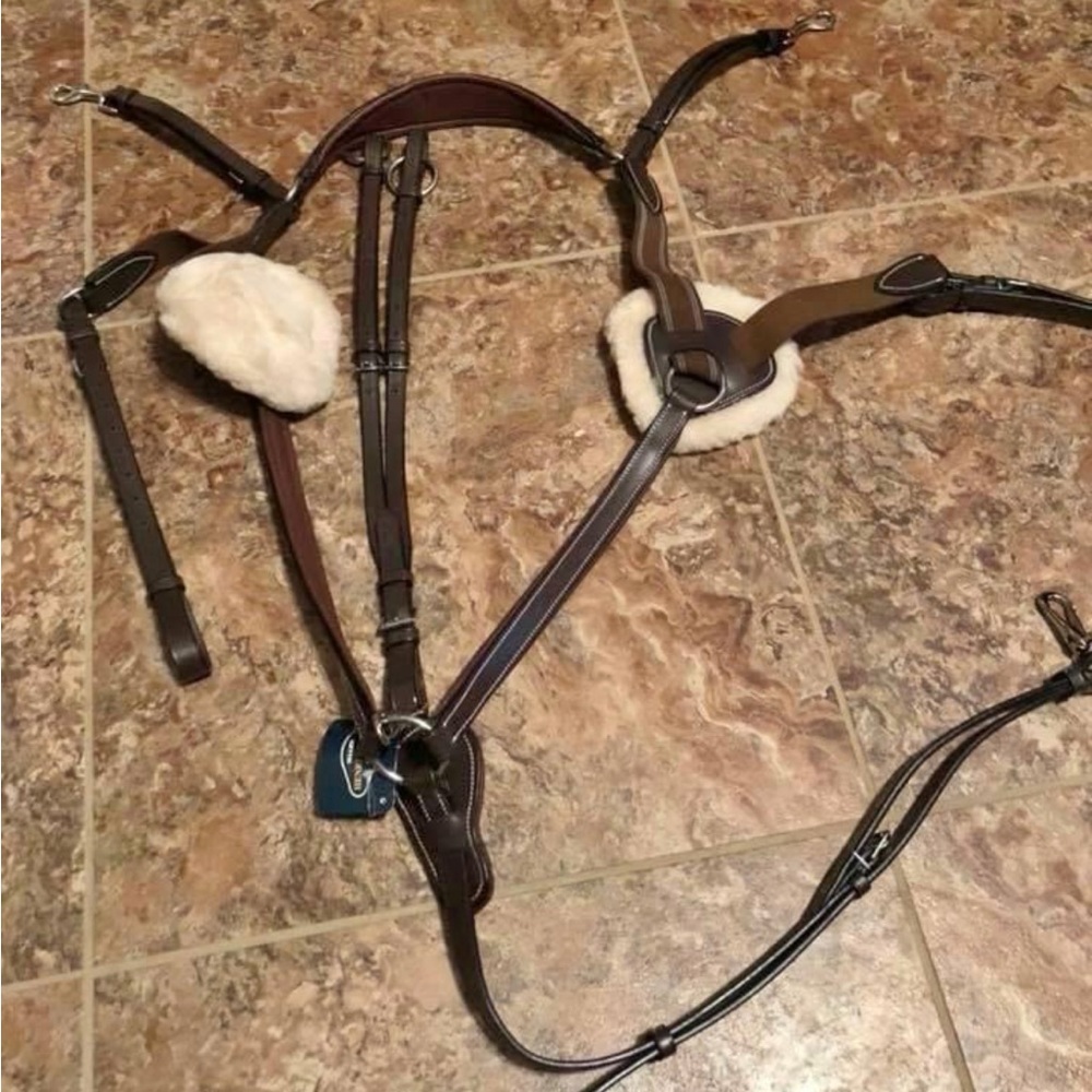 HDR 5 point breastplate cob